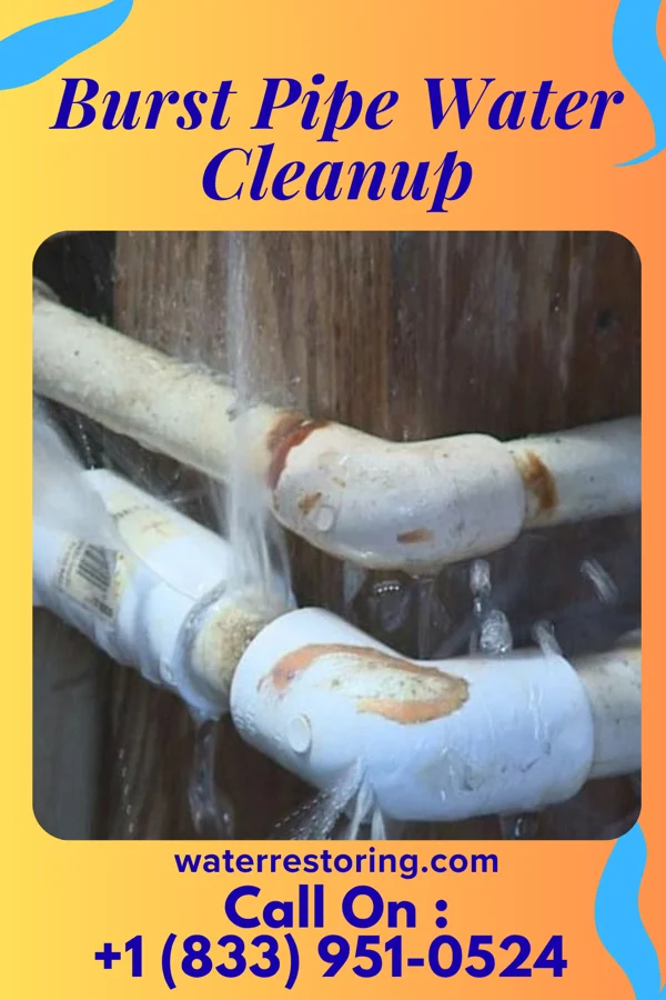 Burst Pipe Water Cleanup in South Burlington, VT