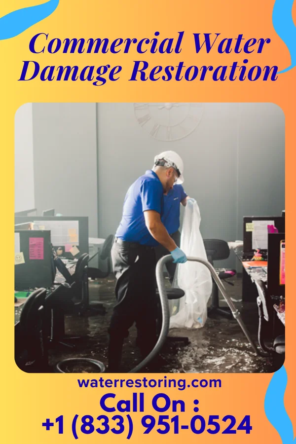Commercial Water Damage Restoration in South Burlington, VT