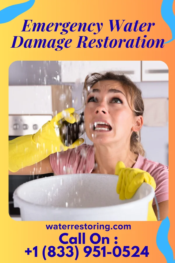 Emergency Water Damage Restoration in South Burlington, VT