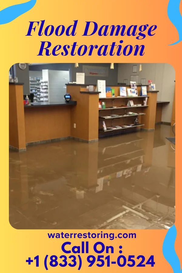 Flood Damage Restoration in South Burlington, VT
