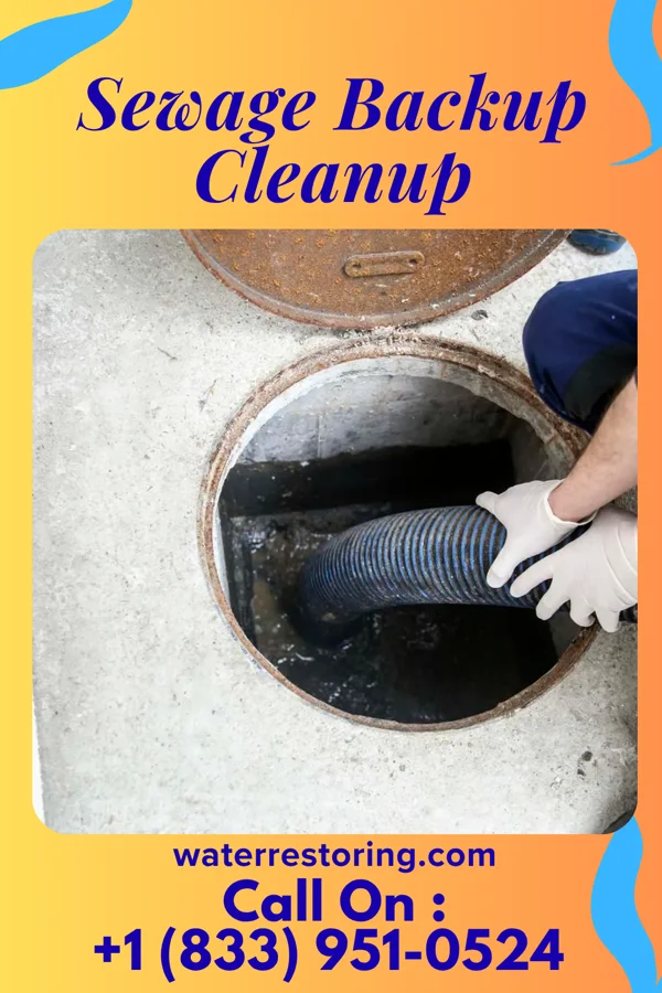 Sewage Backup Cleanup in South Burlington, VT