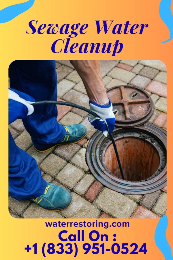 Sewage Water Cleanup in South Burlington, VT
