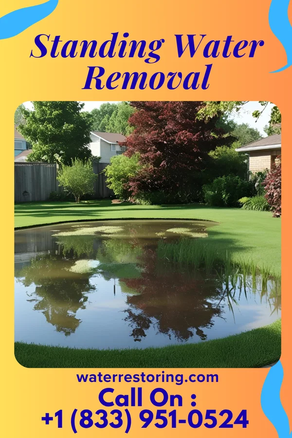 Standing Water Removal in South Burlington, VT
